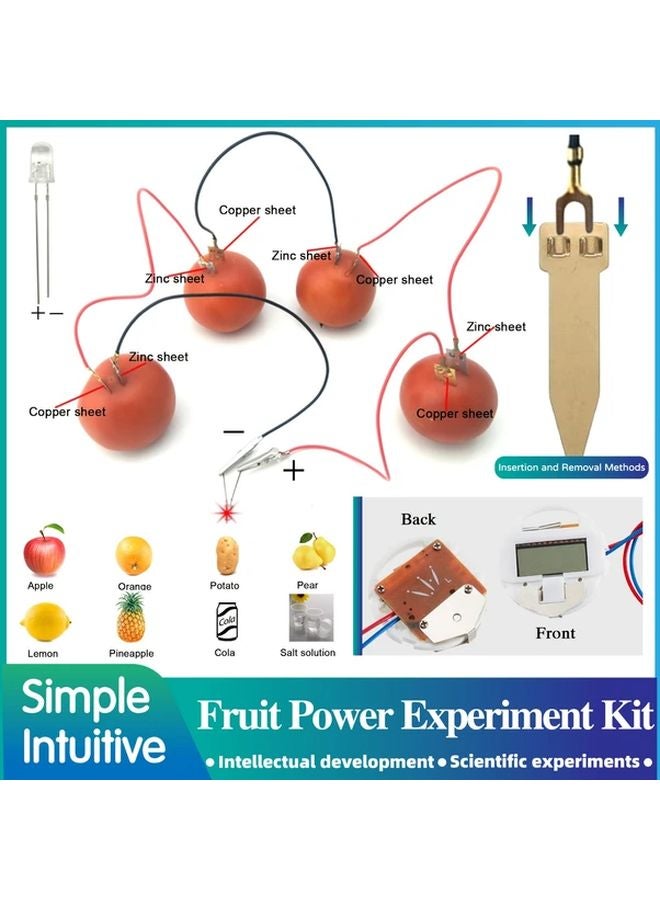 Model A8 STEM Science Kit For Fruit Powered Green Energy Physics And Electricity Education Projects - Image 5